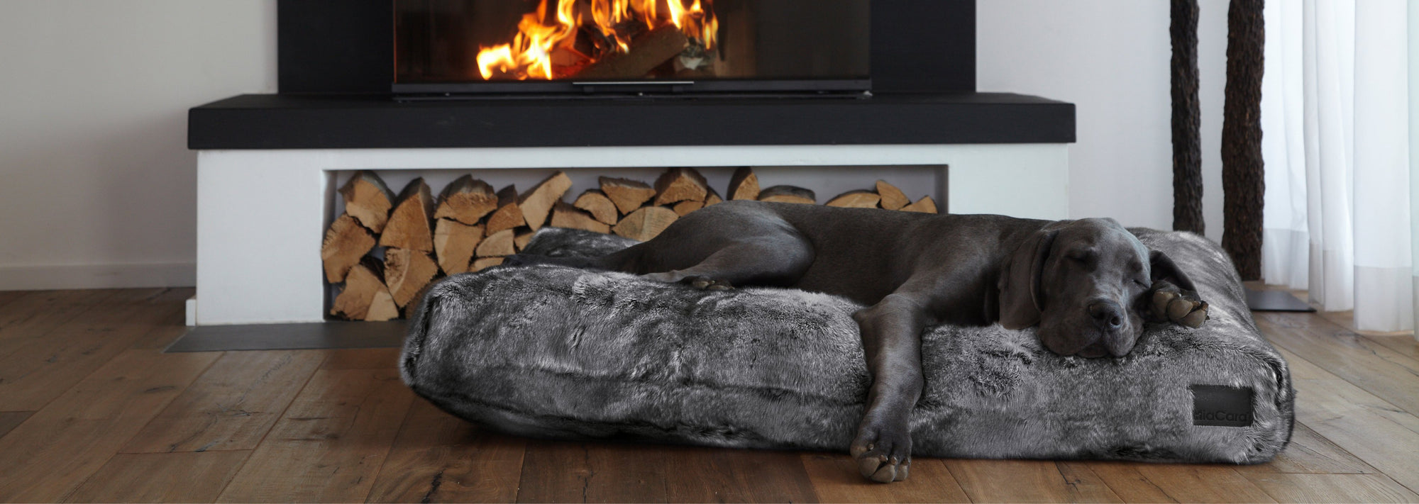HUNDE