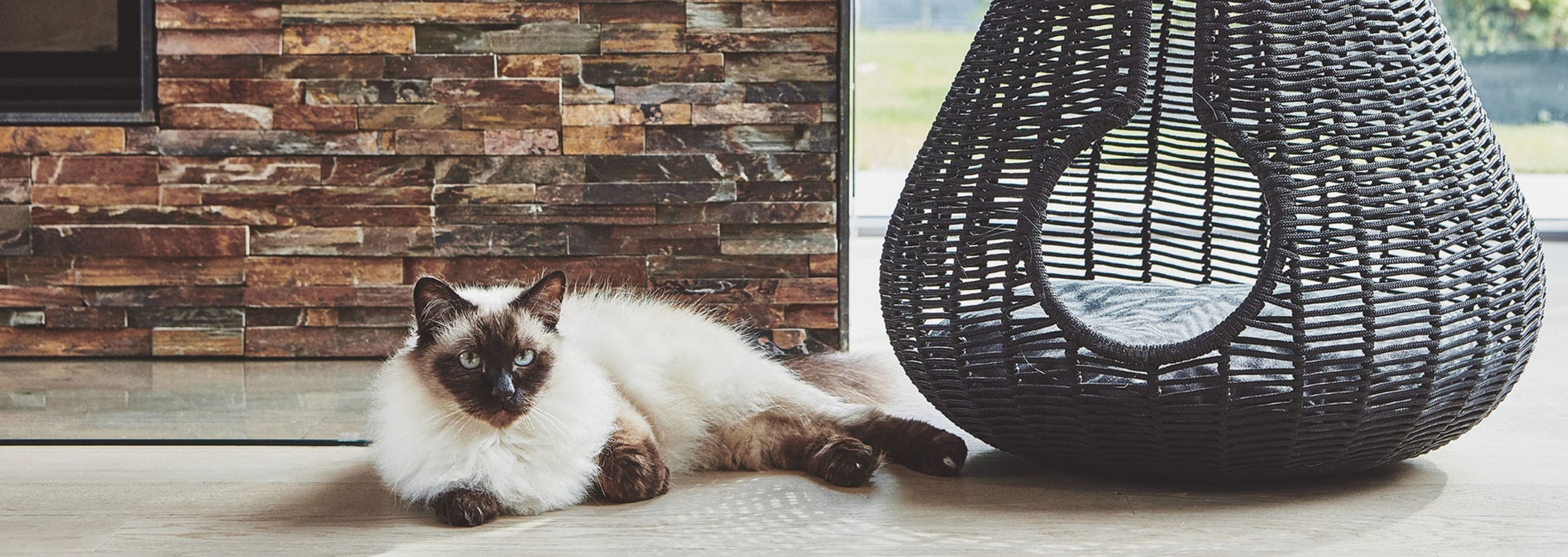 KATZEN