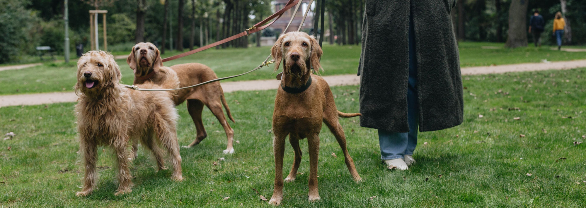 HUNDESPAZIERGANG