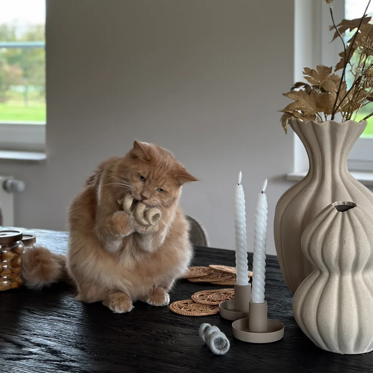 Spira Katzenspielzeug