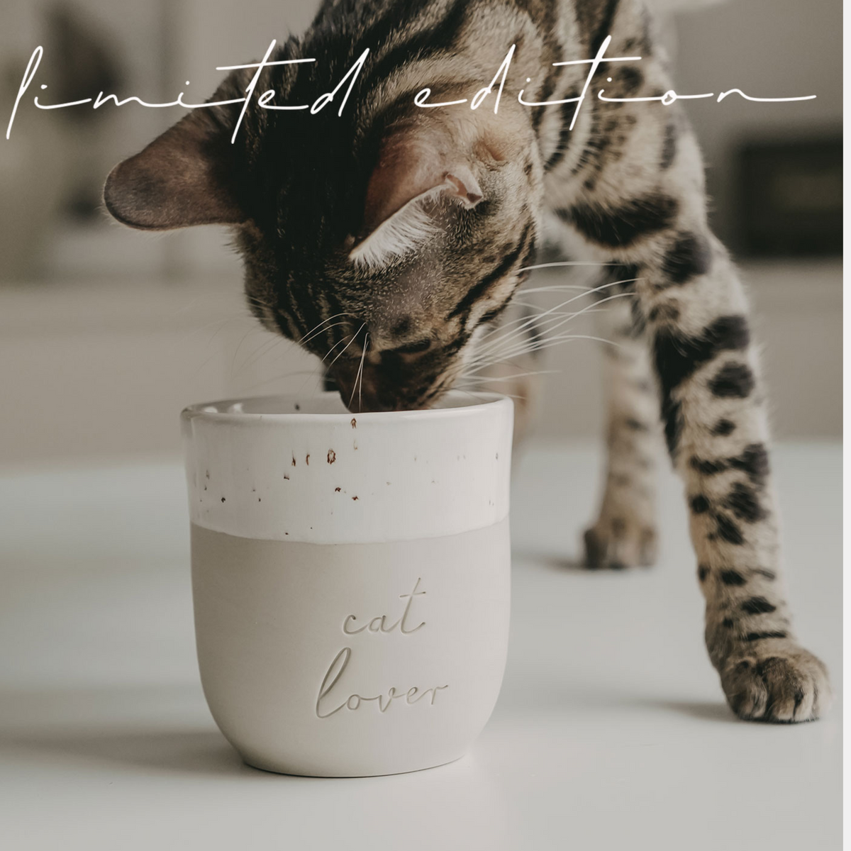 Cat Lover Cup