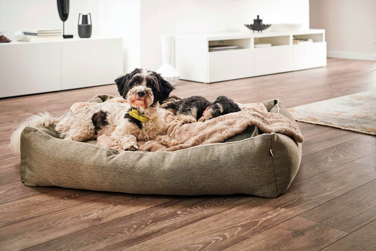 COZY BEIGE - Webpelz-Decke