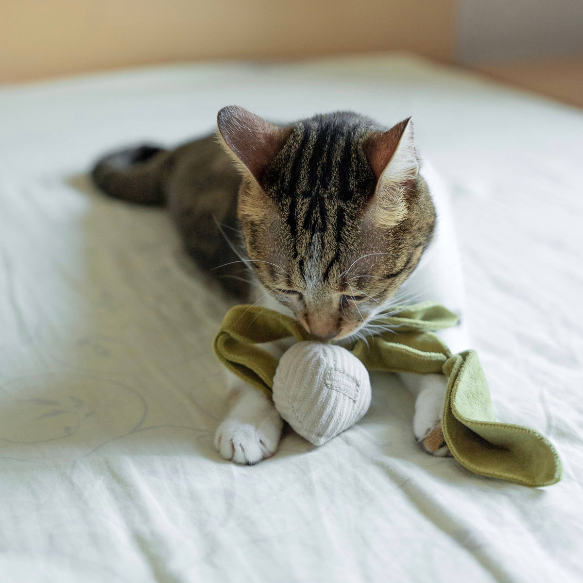 RADIESCHEN- UND KATZENSPIELZEUG