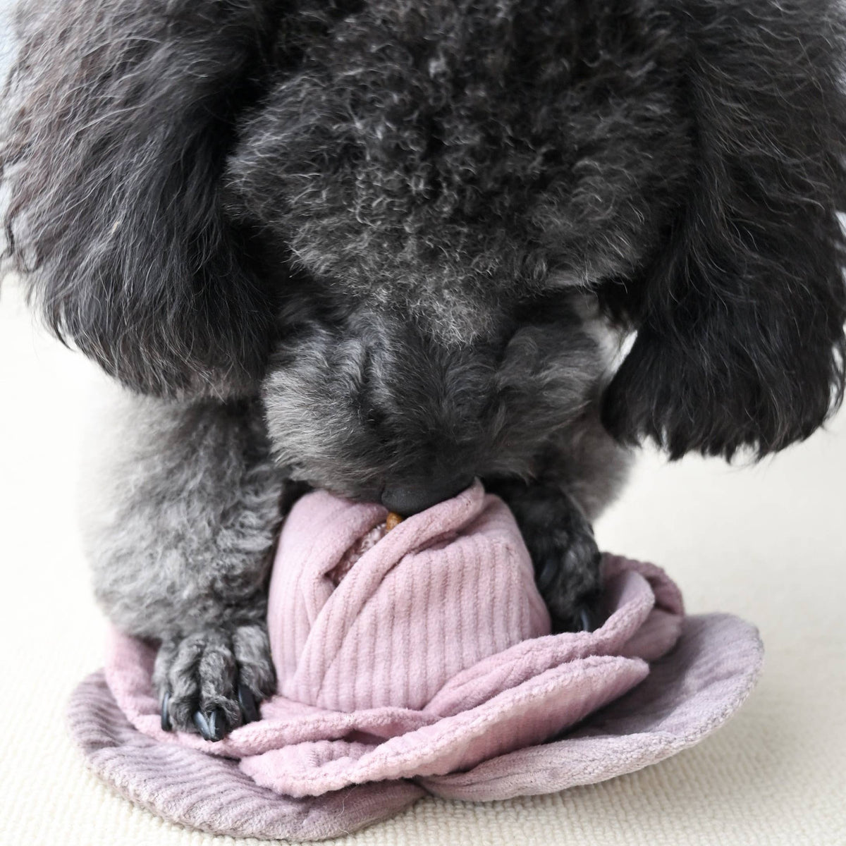 CABBAGE POP//ENRICHMENT HUNDESPIELZEUG