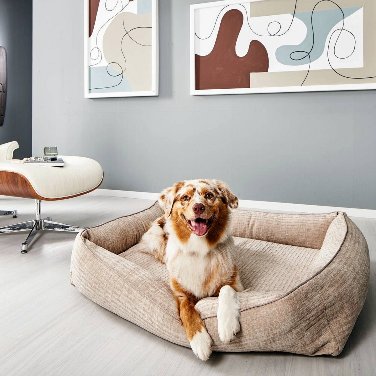 ORTHO PET BED NOVA