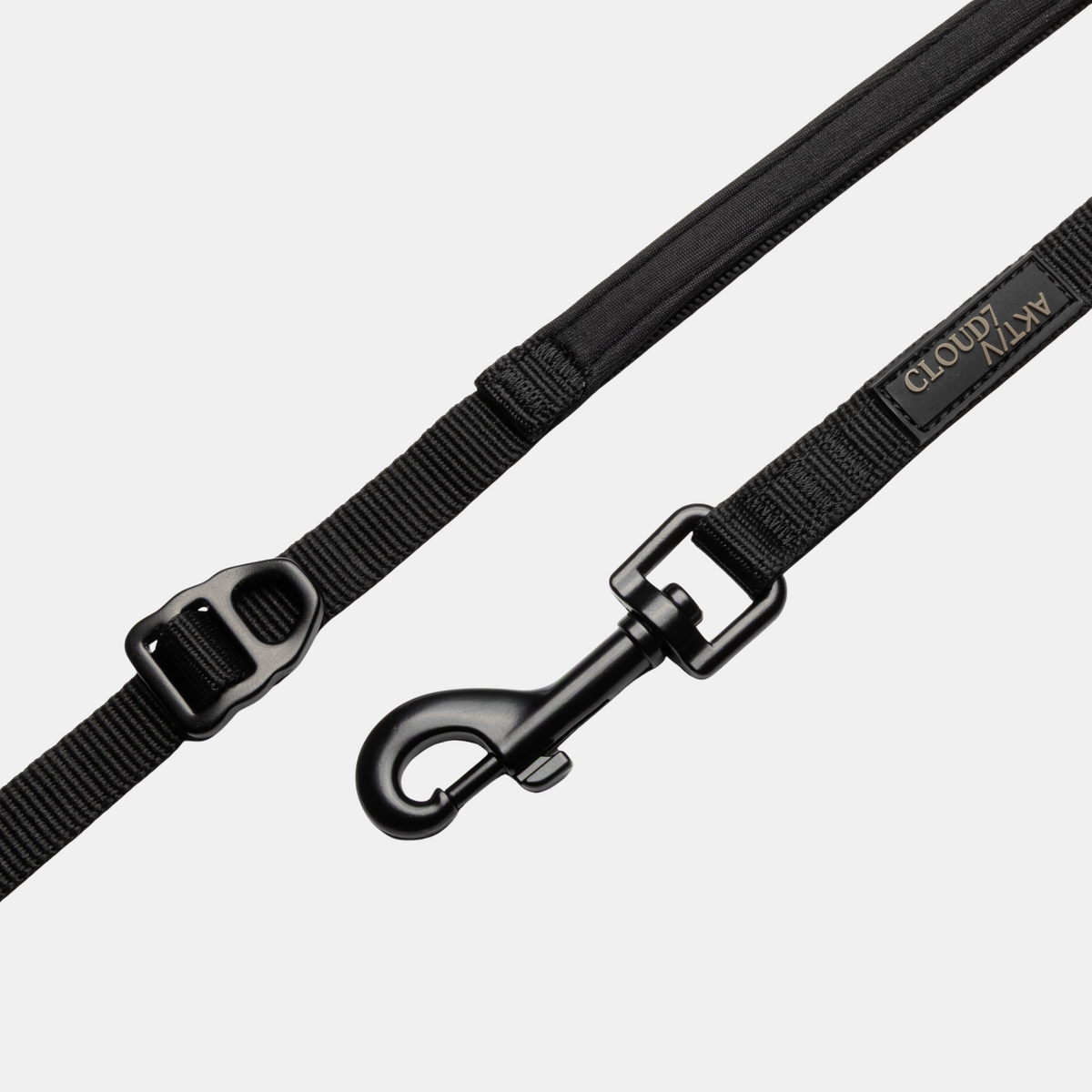 L-2 Jogging-Leine AKTIV Black