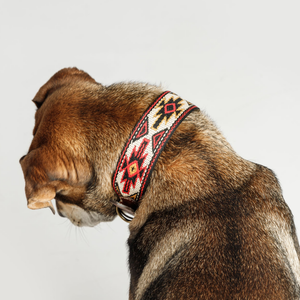 Halsband Peyote Red