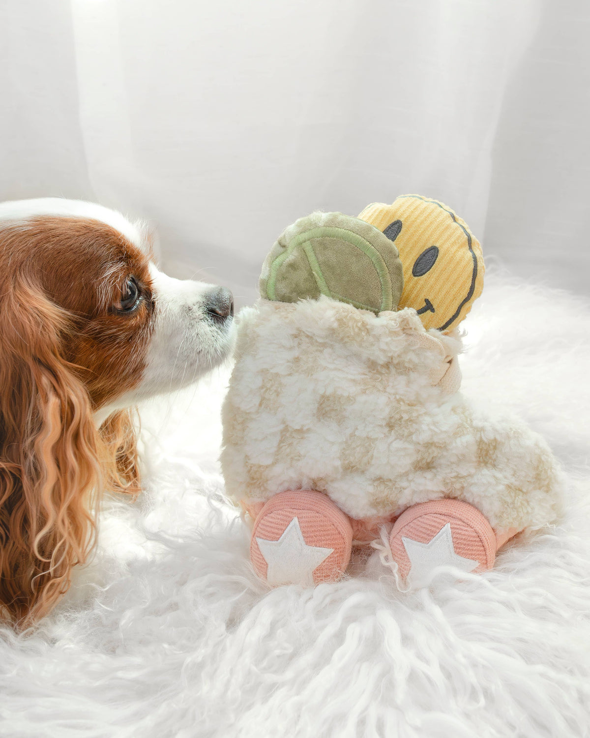 Rollschuh //BEREICHERUNG HUNDESPIELZEUG