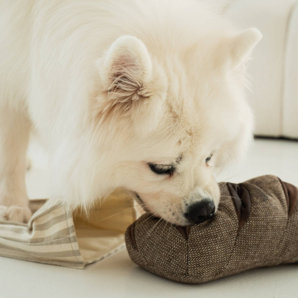 RYE //BEREICHERUNGSSPIELZEUG FÜR HUNDE