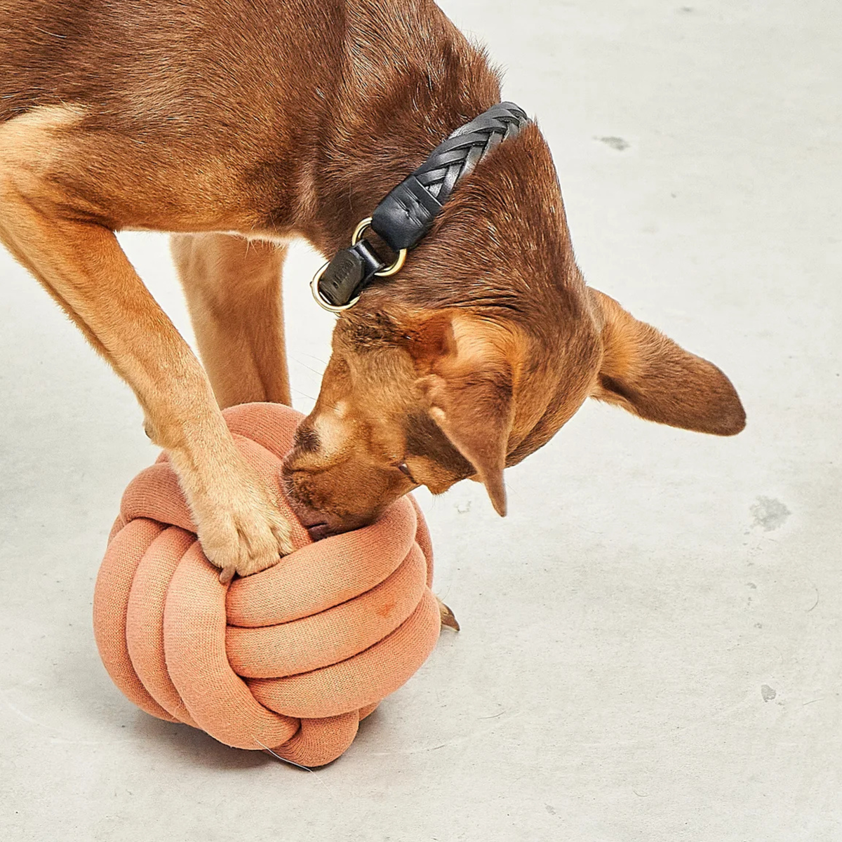 Tubo Beschäftigungsspielzeug Dusty Orange