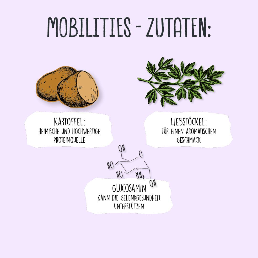 MOBILITIES 115 g