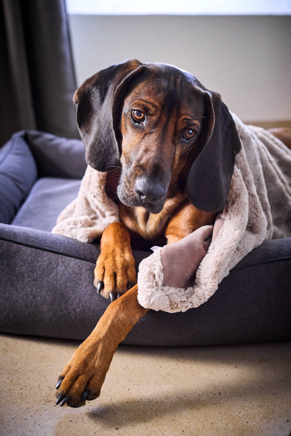 COZY BEIGE - Webpelz-Decke