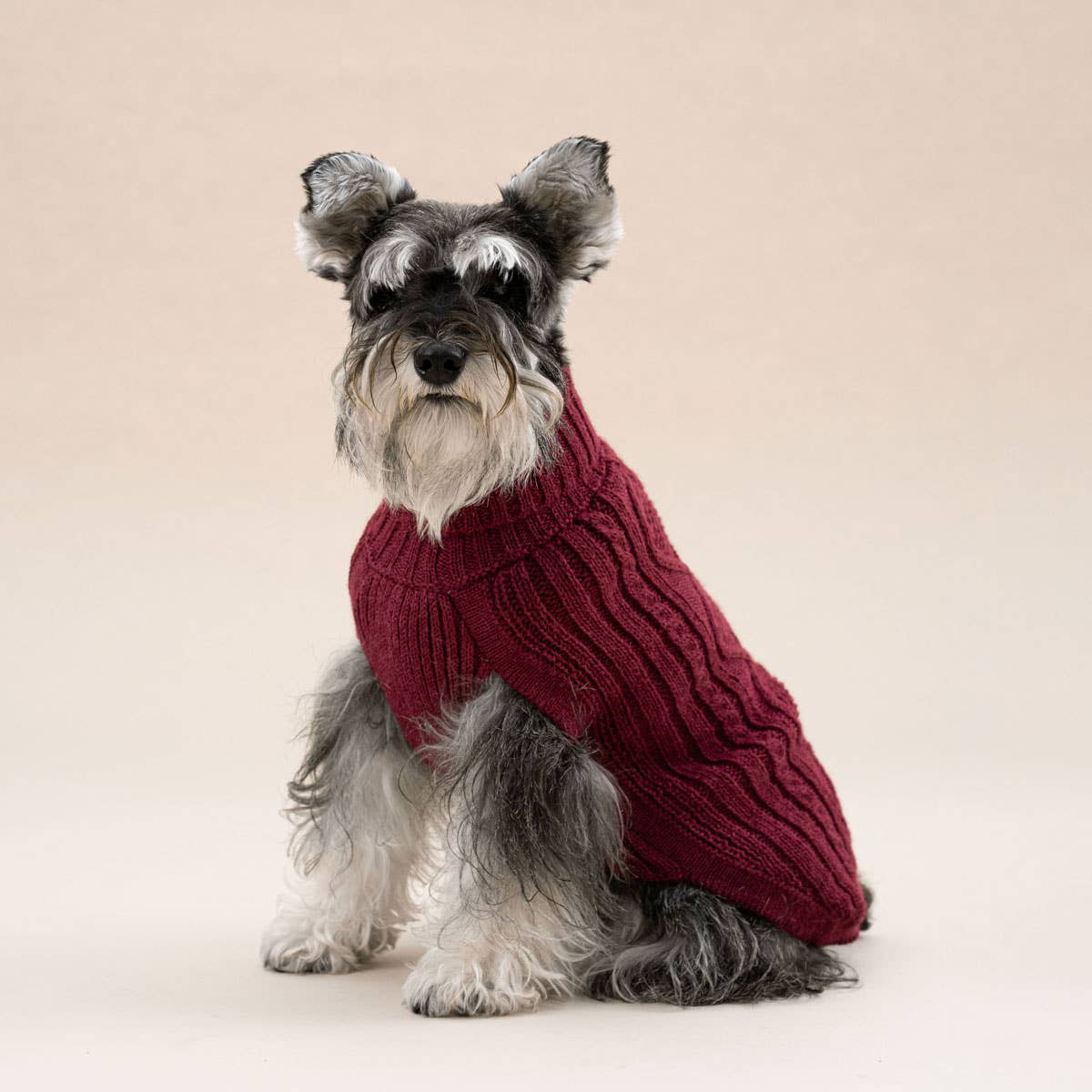 Weinroter Aran-Alpaka-Hundepullover