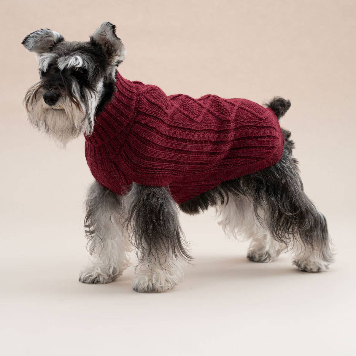 Weinroter Aran-Alpaka-Hundepullover