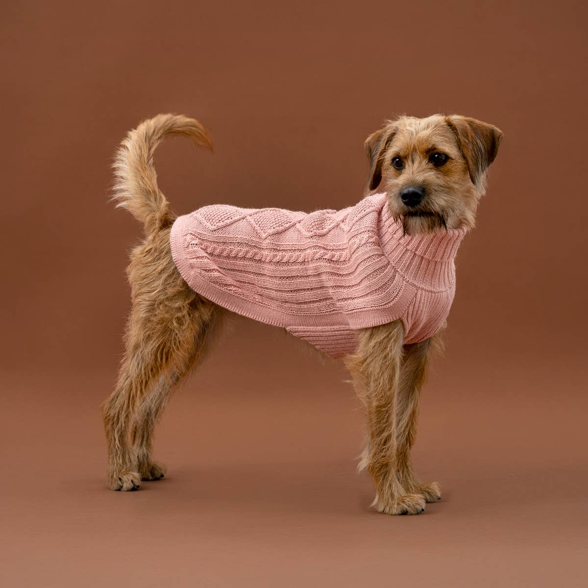 Blush Pink Aran -Alpaka-Hundepullover
