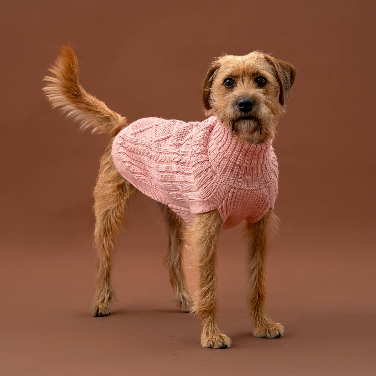 Blush Pink Aran -Alpaka-Hundepullover