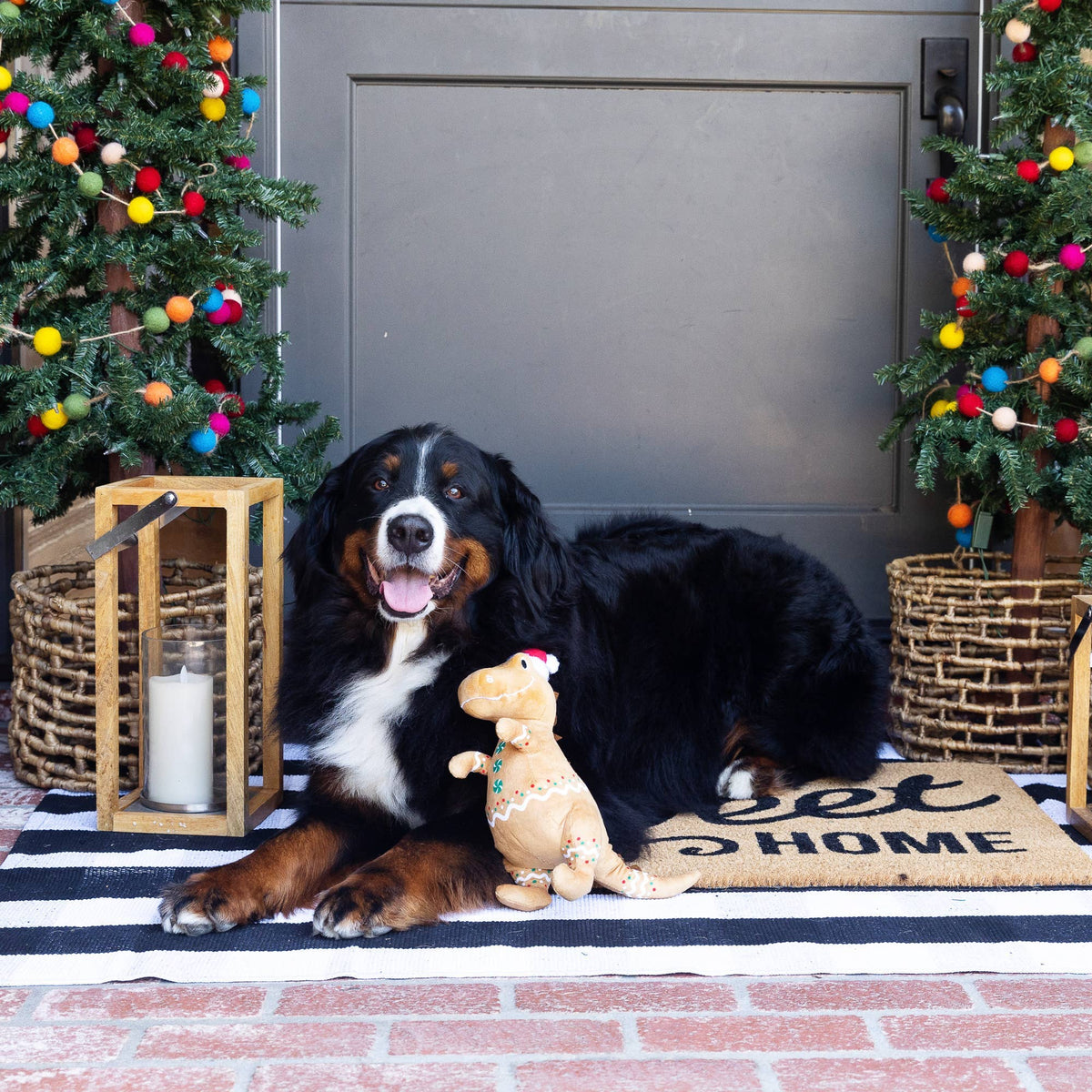 Cookie Saurus Hundespielzeug