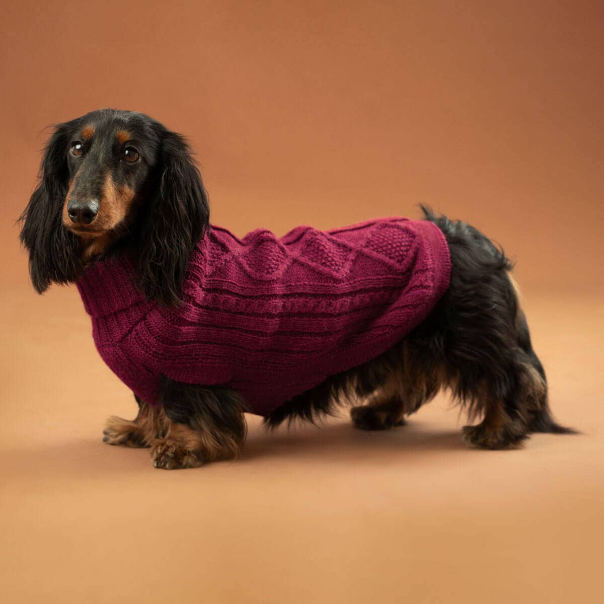 Weinroter Aran-Alpaka-Hundepullover