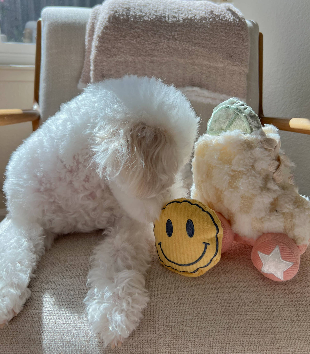 Rollschuh //BEREICHERUNG HUNDESPIELZEUG