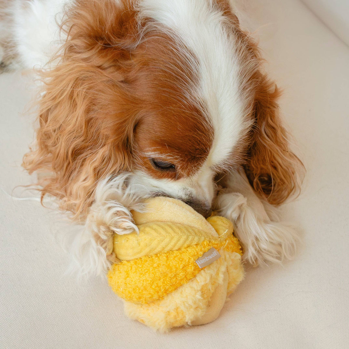 TOTO Beschäftigungsspielzeug silent