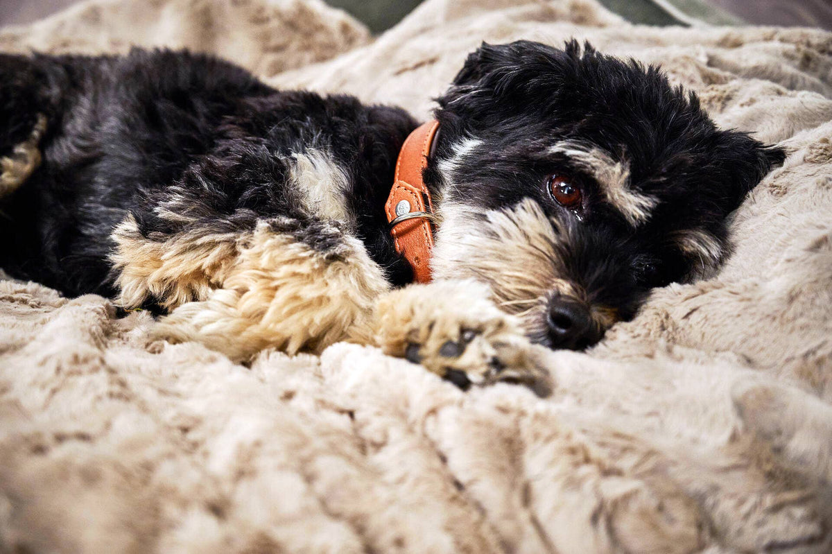 COZY BEIGE - Webpelz-Decke