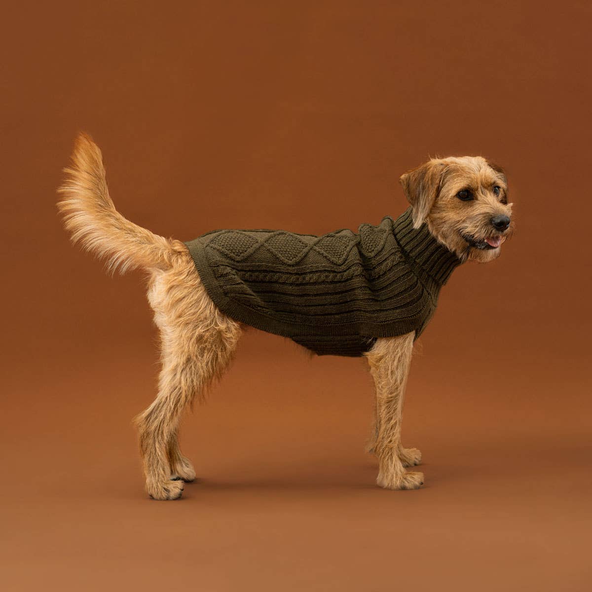 Forest Green -Alpaka-Hundepullover