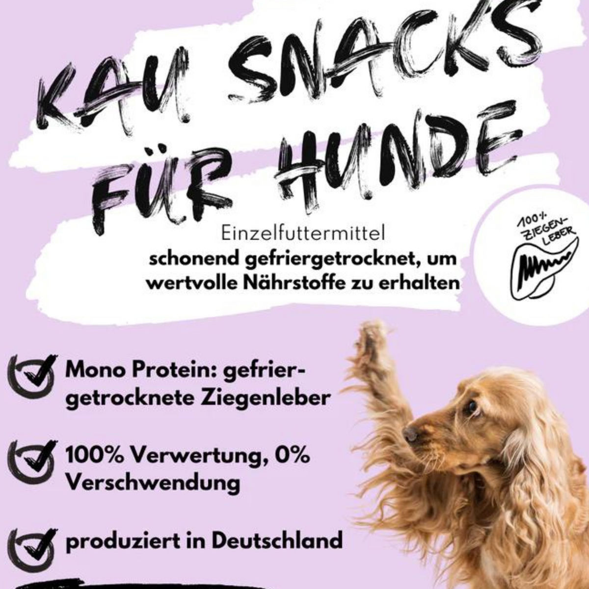 Super Leckerli aus 100% gefriergetrockneter Ziegenleber (80g)