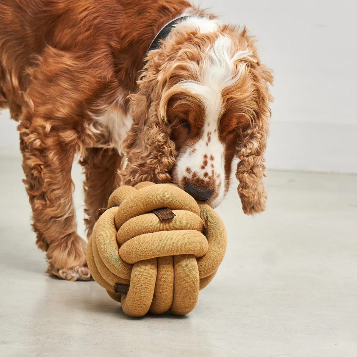 Tubo Beschäftigungsspielzeug Curry