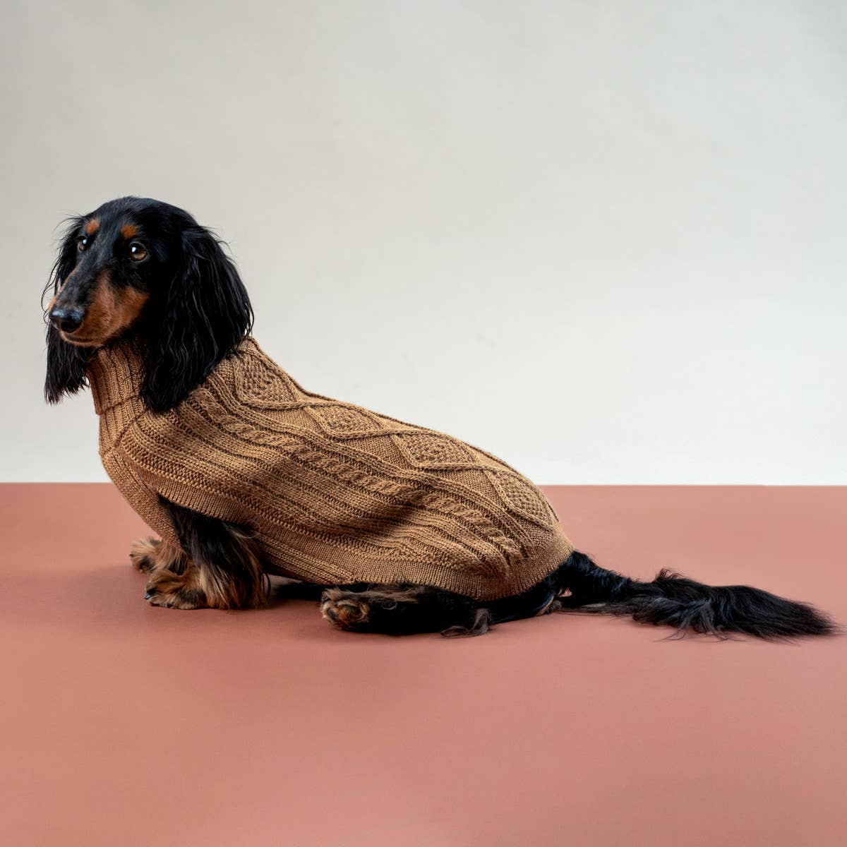 Camel Aran Alpaka Hundepullover