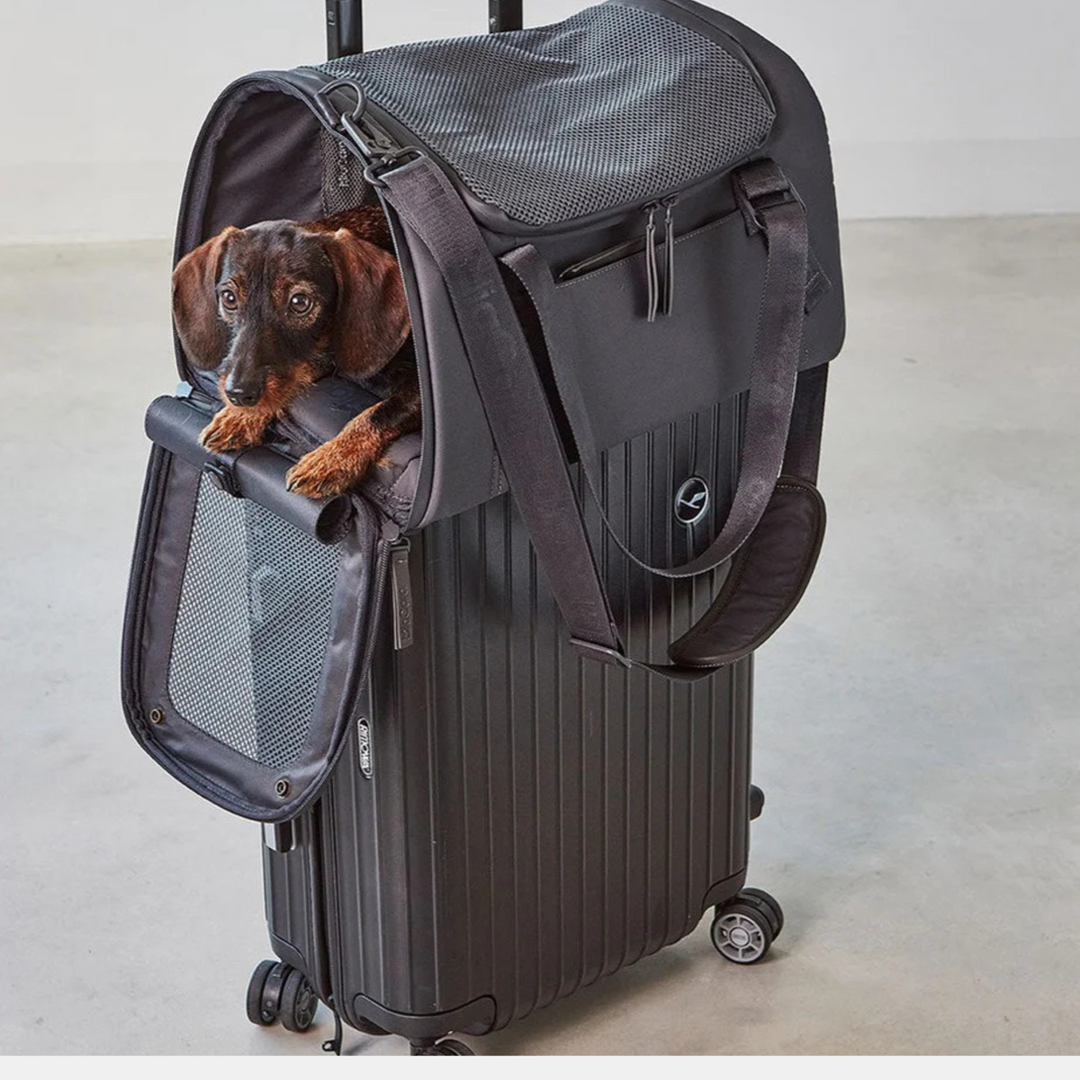 Volata Flugreisetasche