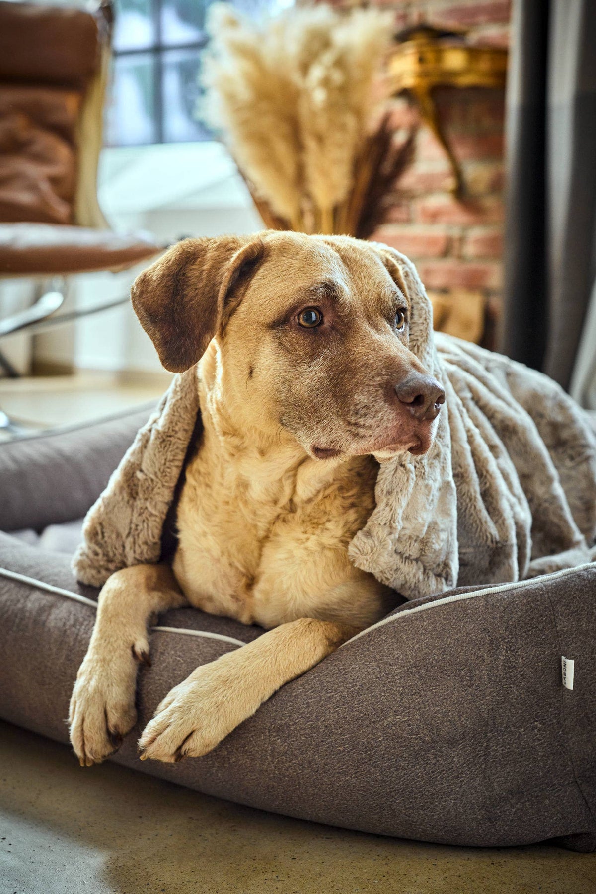 COZY BEIGE - Webpelz-Decke