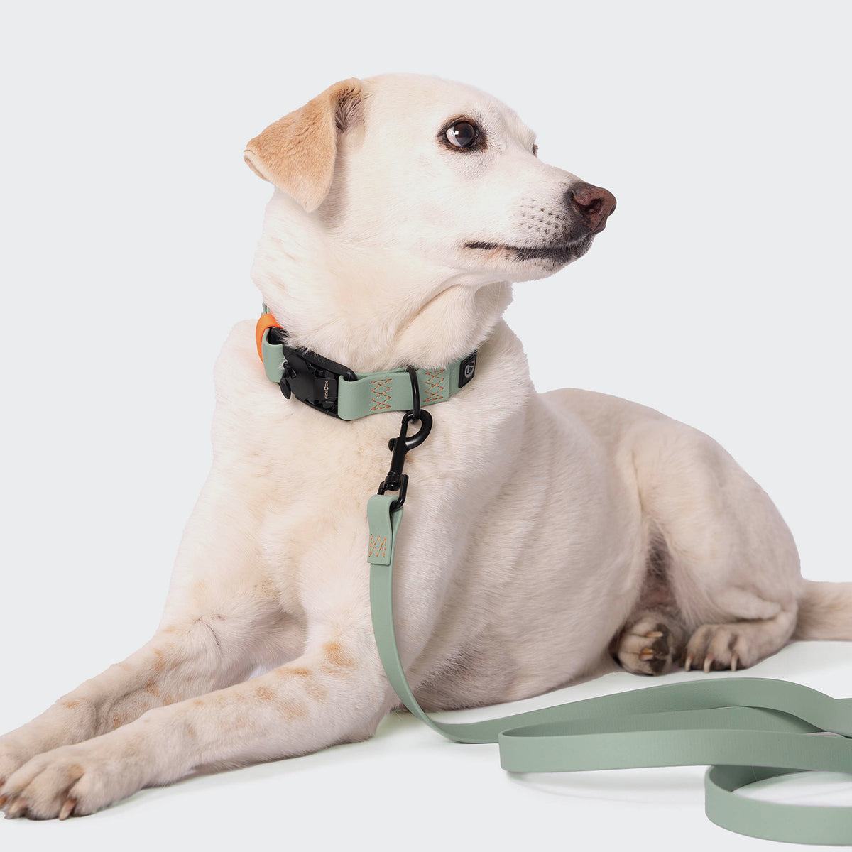 Hundehalsband BioThane Ipanema Mint-Neon Orange