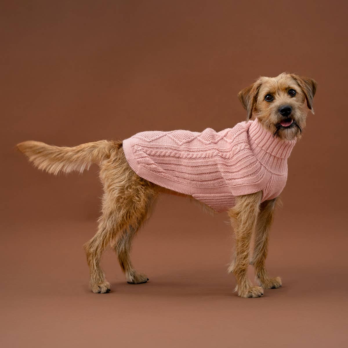 Blush Pink Aran -Alpaka-Hundepullover