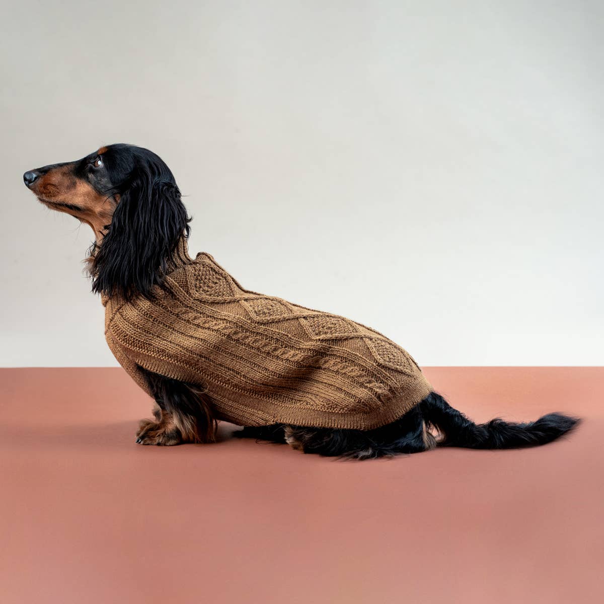 Camel Aran Alpaka Hundepullover