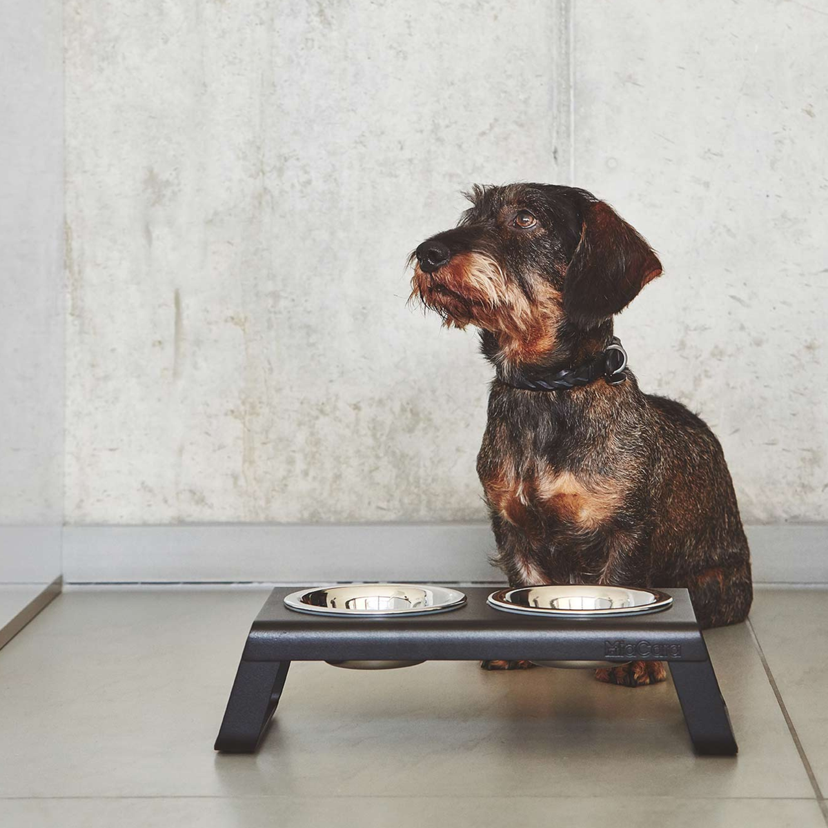 Desco Napfständer schwarz