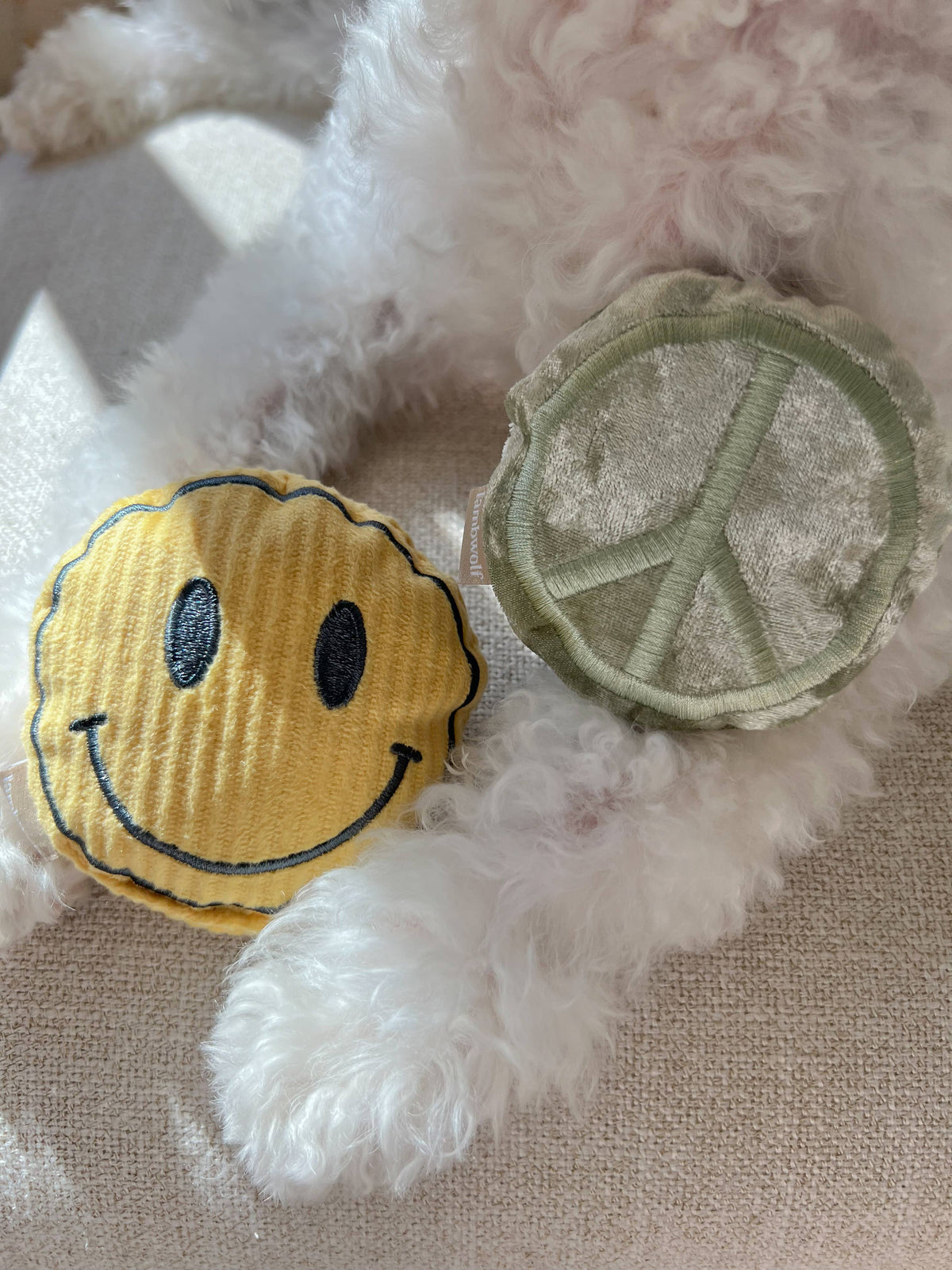 Rollschuh //BEREICHERUNG HUNDESPIELZEUG