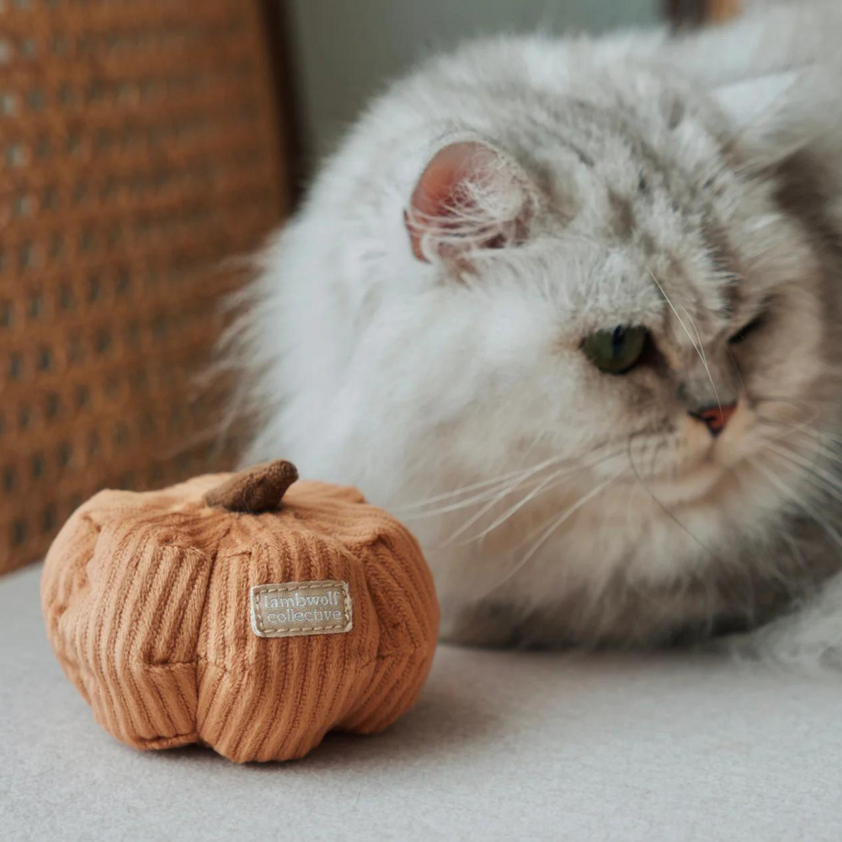 Kitty Veggie Set