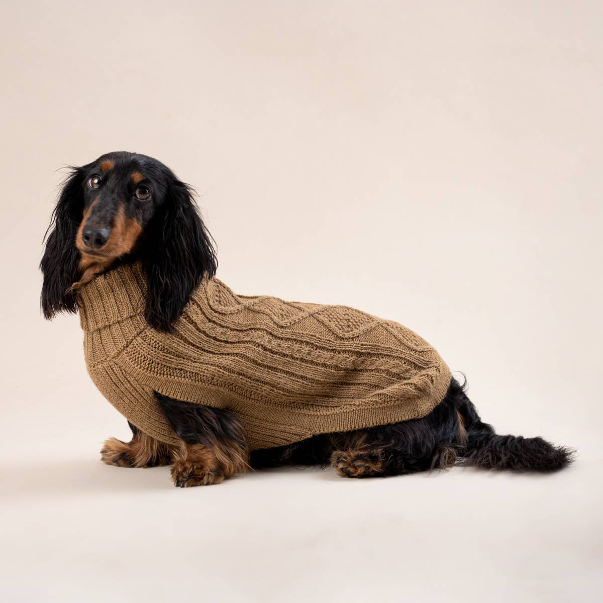 Camel Aran Alpaka Hundepullover