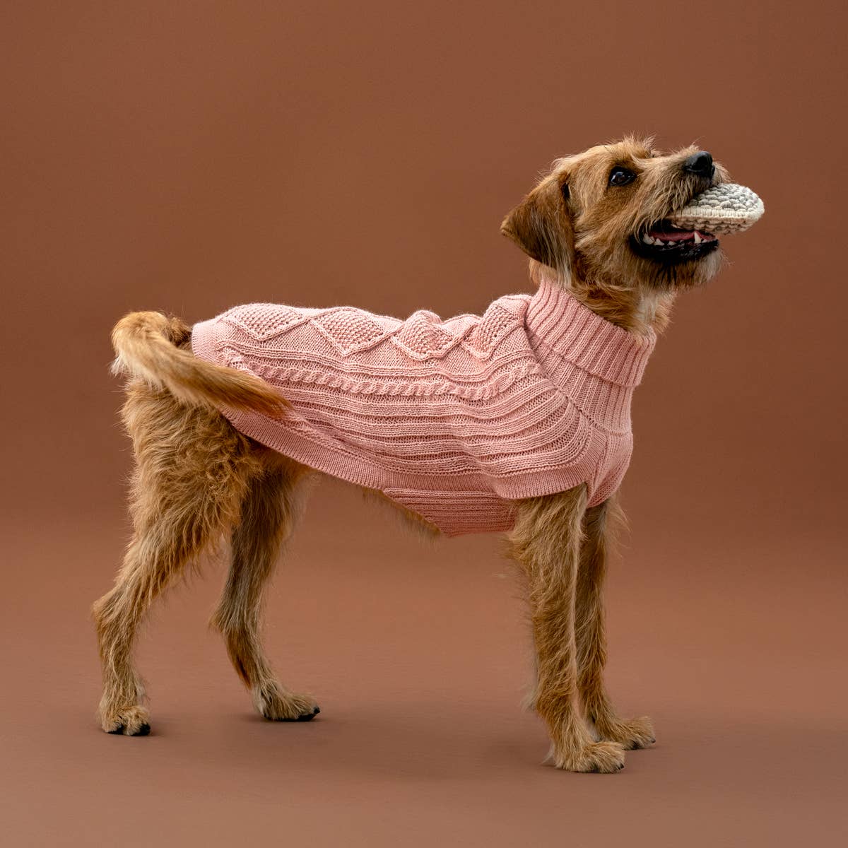 Blush Pink Aran -Alpaka-Hundepullover