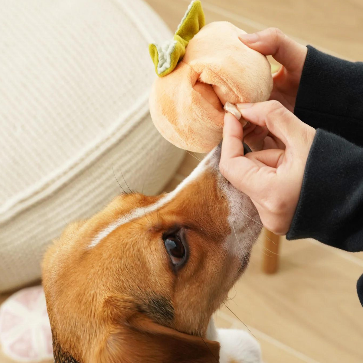 PERSIMMON Squeaky + Snuffle
