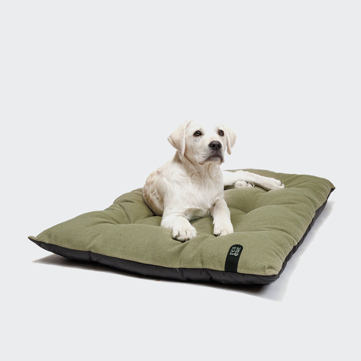 RESC7UE Hundekissen Sage