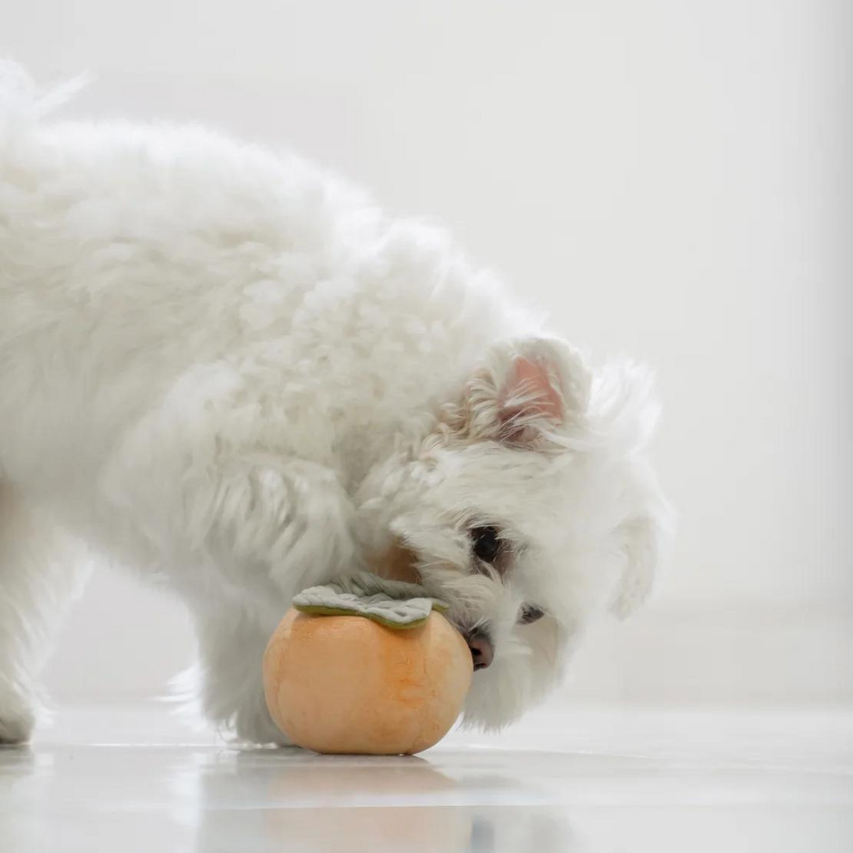 PERSIMMON Squeaky + Snuffle