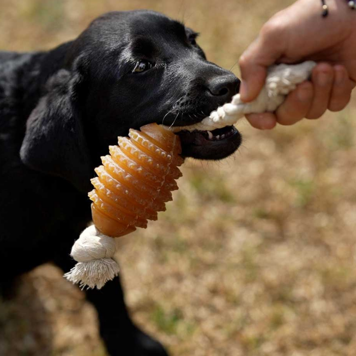 Rub Rugby Hundespielzeug