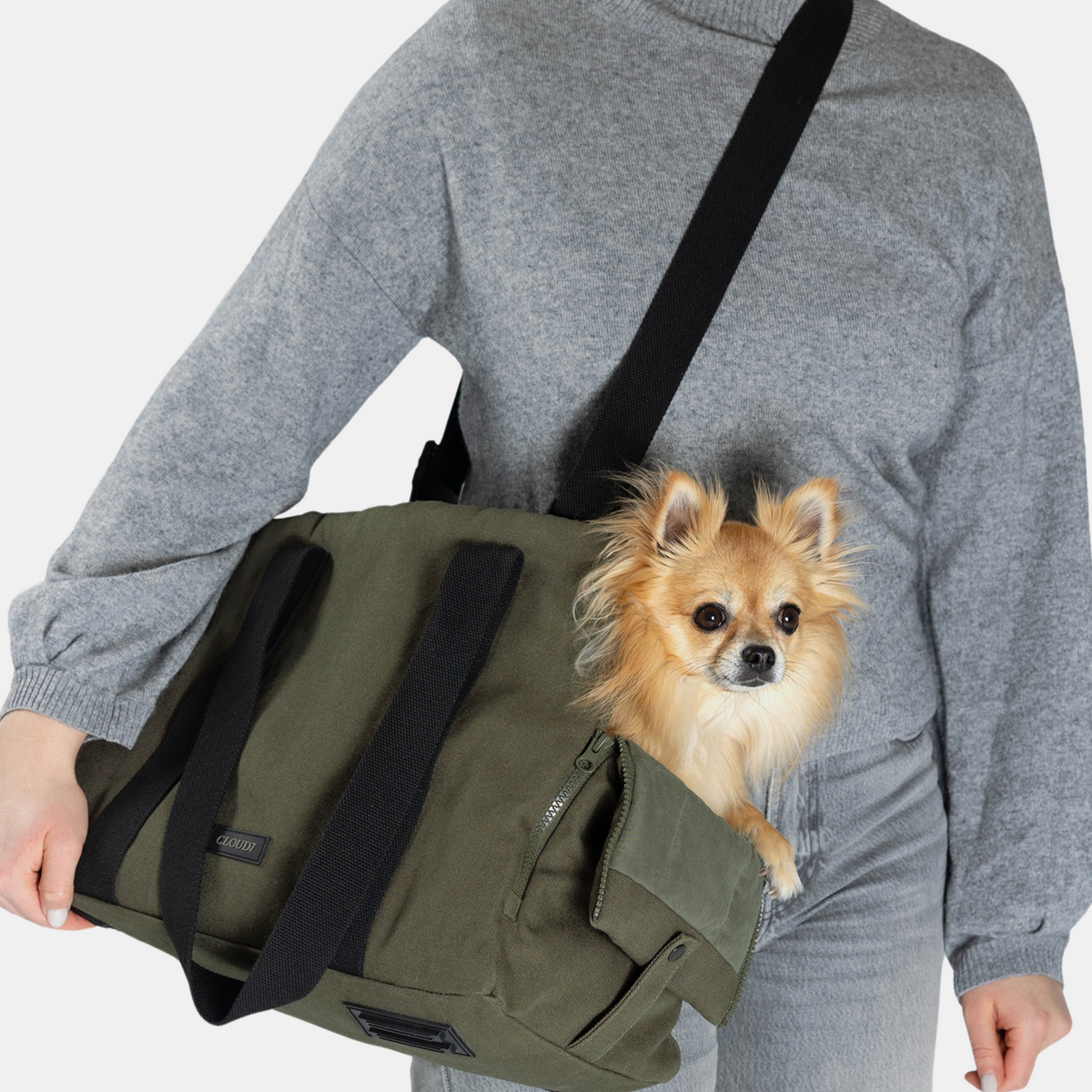 Hundetasche Turin Canvas Olive