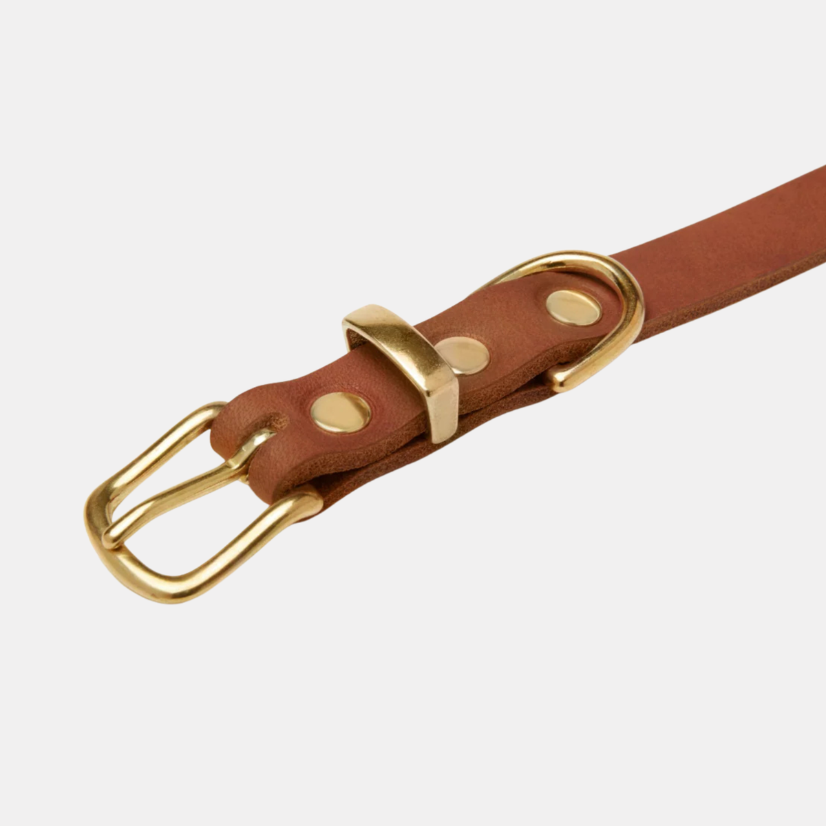 Butter Leather Hundehalsband Sahara