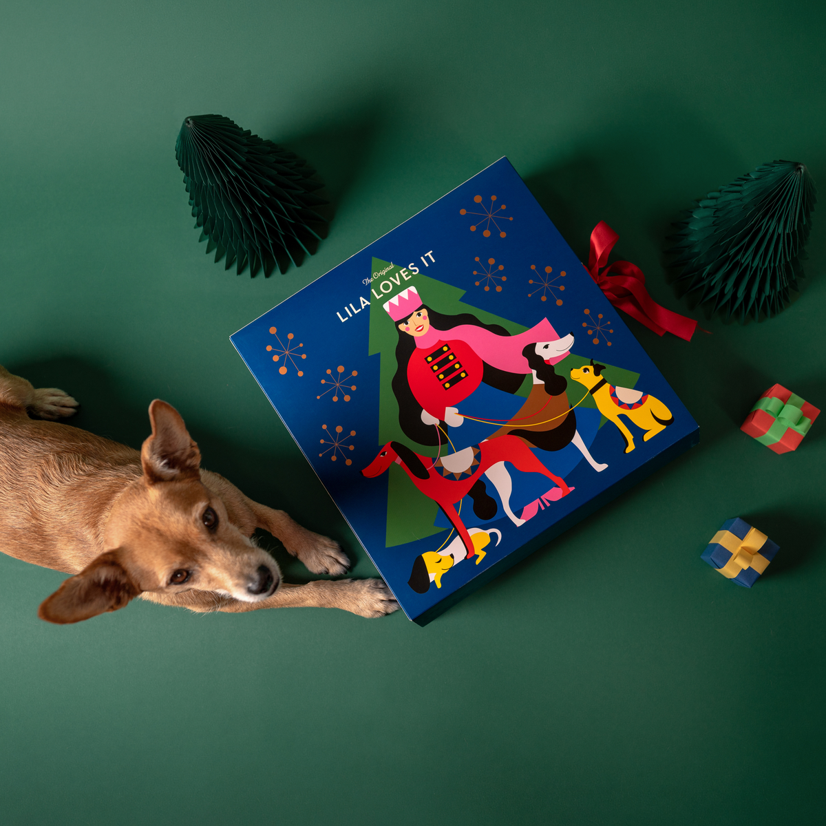 Adventskalender 2025