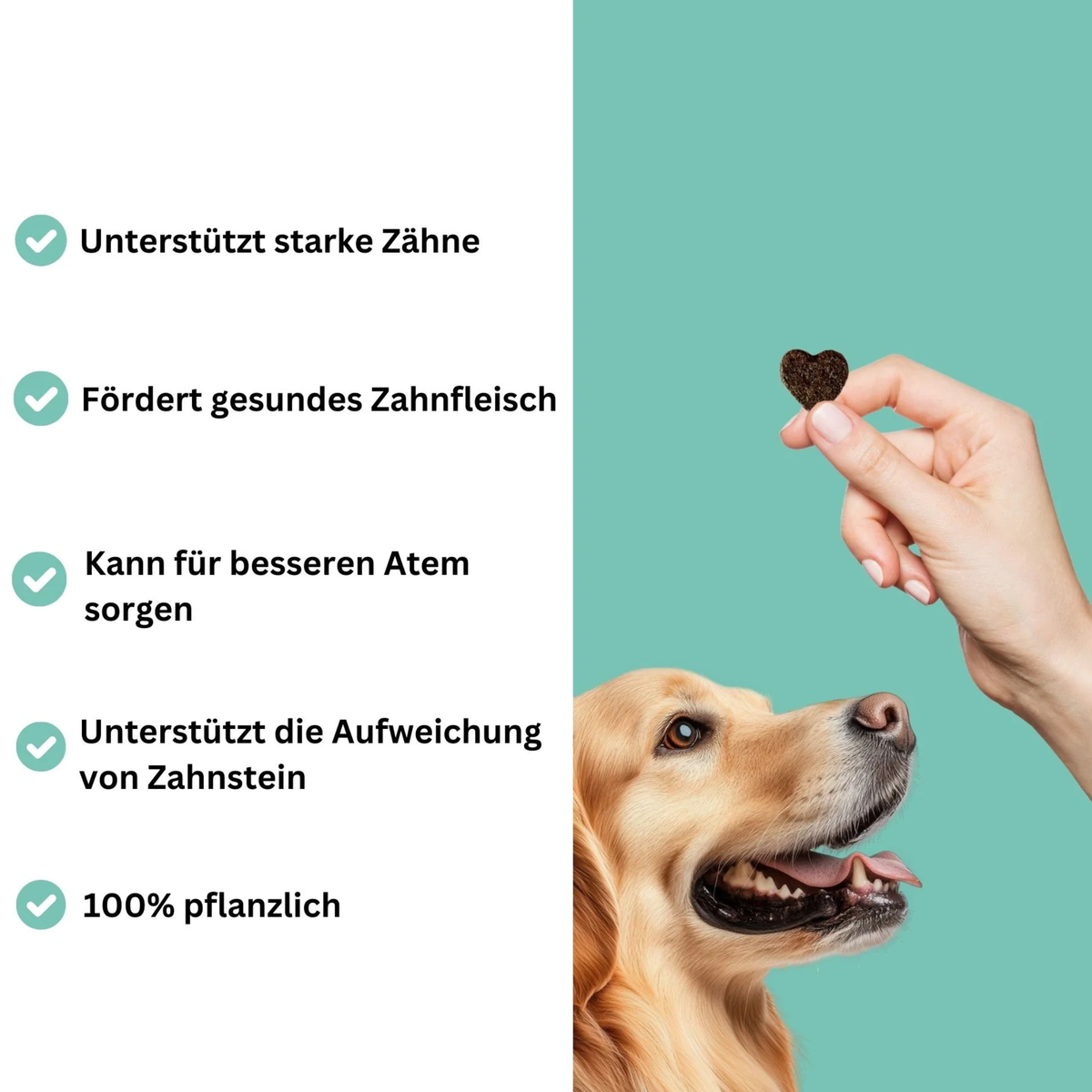 Snacks für Zähne & Zahnfleisch