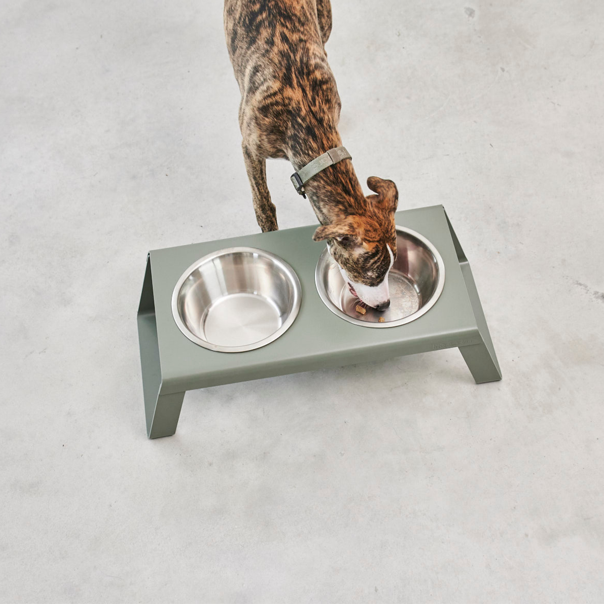 Desco Napfständer grolive