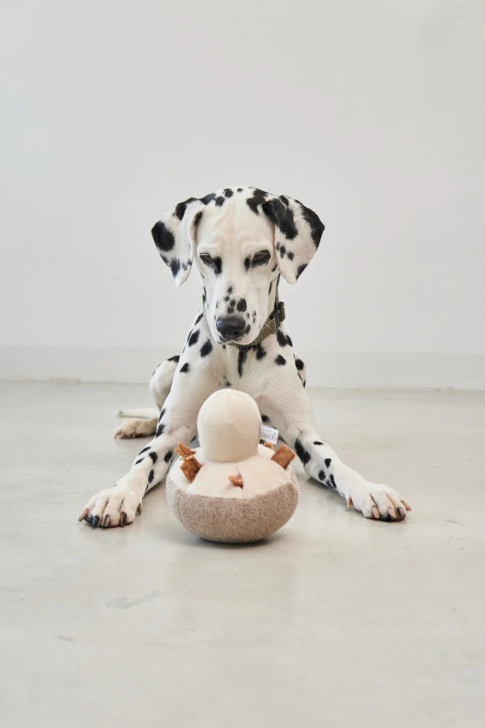 Foresta Schnüffelspielzeug