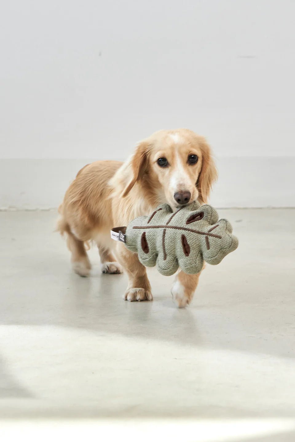 Foresta Schnüffelspielzeug